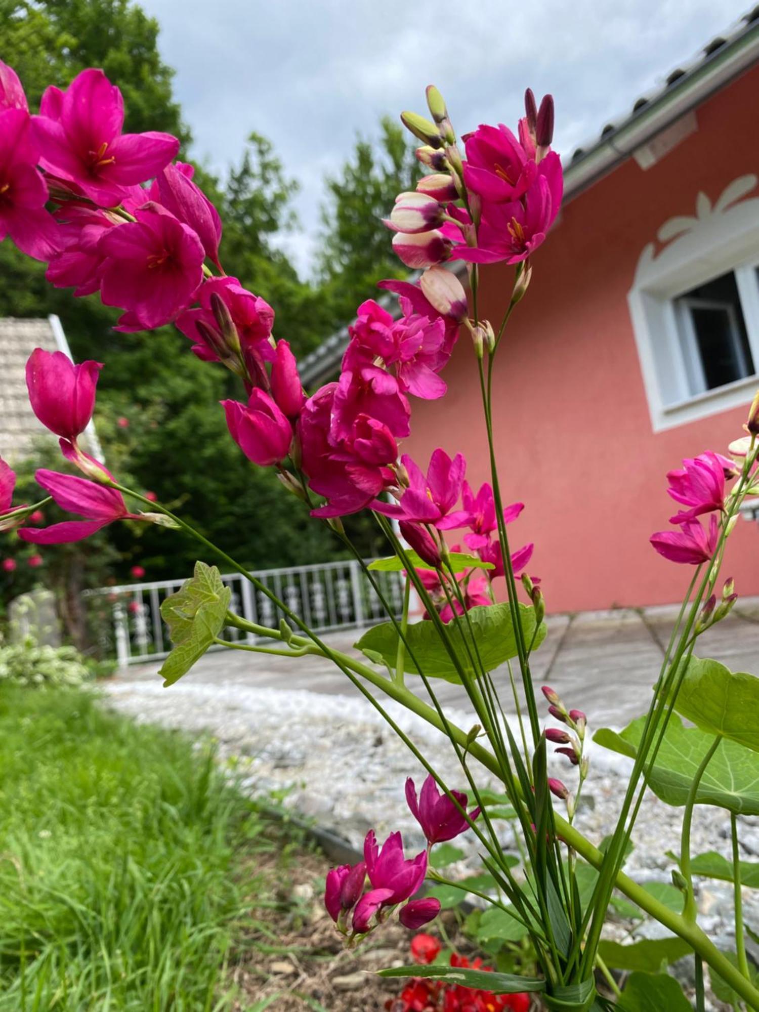 Pension Hadanig Apartment Techelsberg Exterior photo